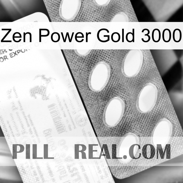 Zen Power Gold 3000 new05.jpg